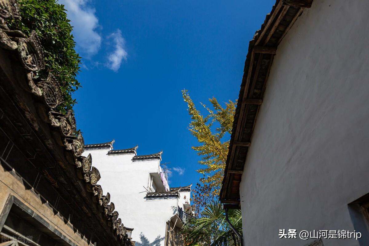 江西最新5A景区名单揭秘,小巷中的独特宝藏与隐藏魅力