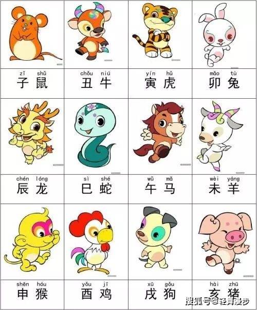 最新版2023十二生肖表，趣味生肖故事集锦