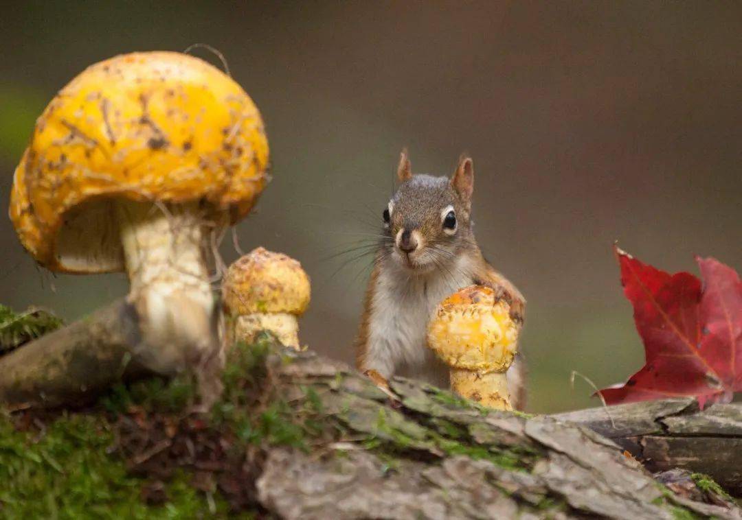 百部经典科幻电影推荐,不容错过的视觉盛宴!