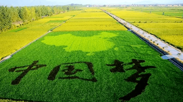 农一网化肥批发价格，与自然美景的邂逅之旅，探寻内心的宁静平和