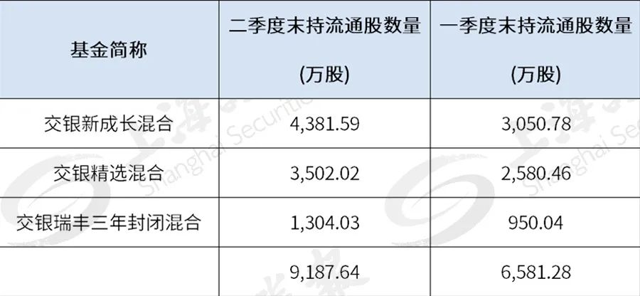 邱国鹭最新持仓情况详解，分析与学习指南