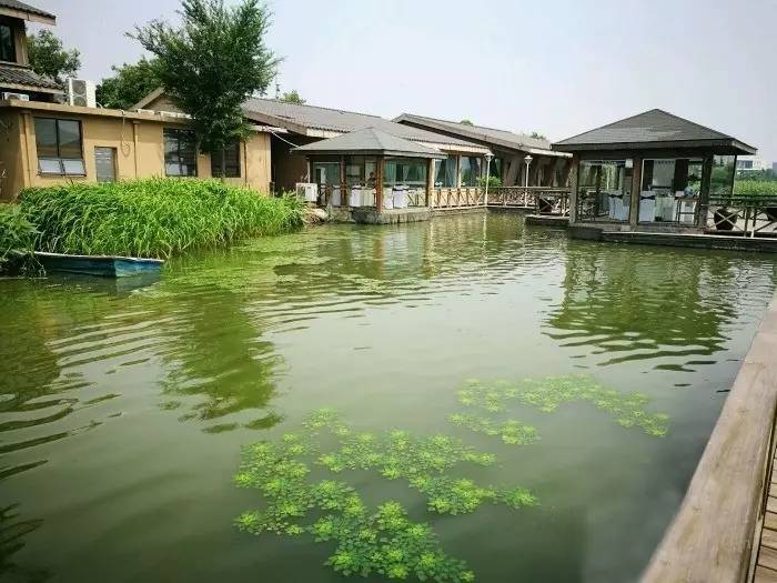 明星私房菜池陌，自然美景背后的旅行启示
