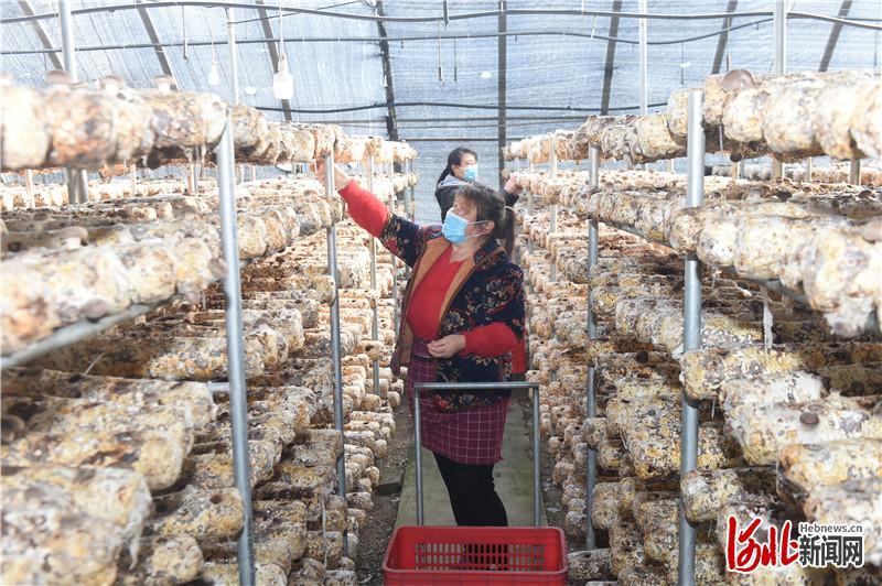 保定房地产上市公司，繁荣背后的故事探索