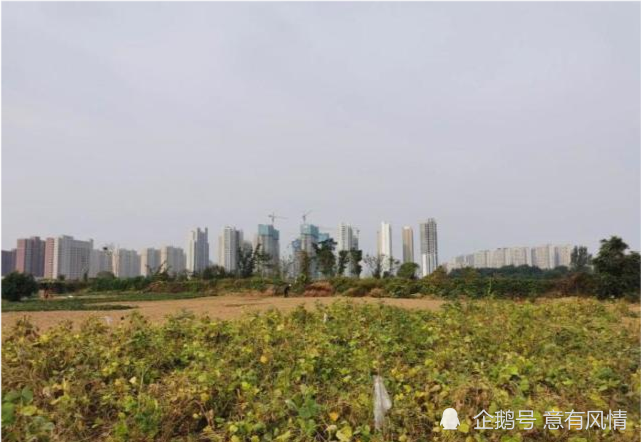 肥乡房产资讯速递，与自然美景的邂逅，探寻内心平和与宁静的居所