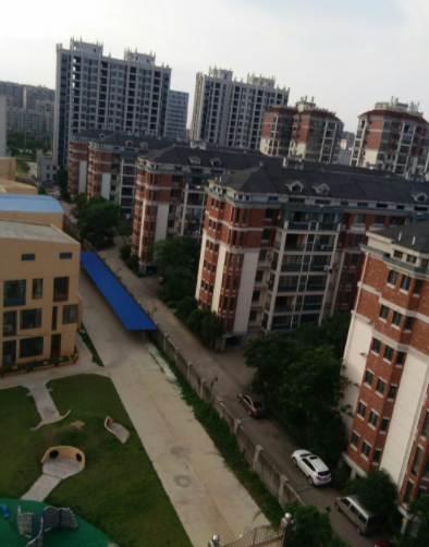 樟树最新住宅价格详解，购买指南与市场价格分析
