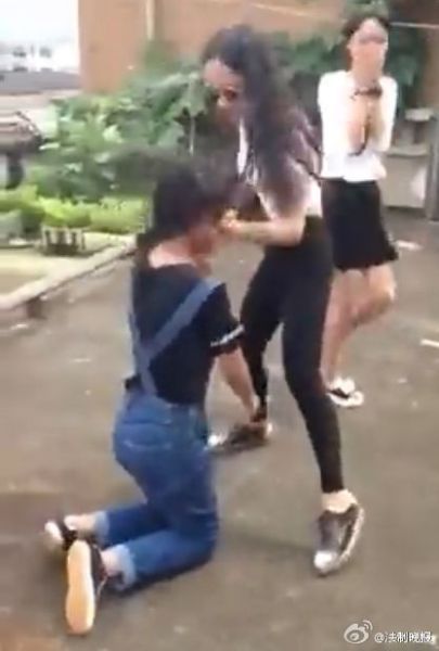 女生群殴事件深度追踪与观点阐述，探究背后的原因与影响