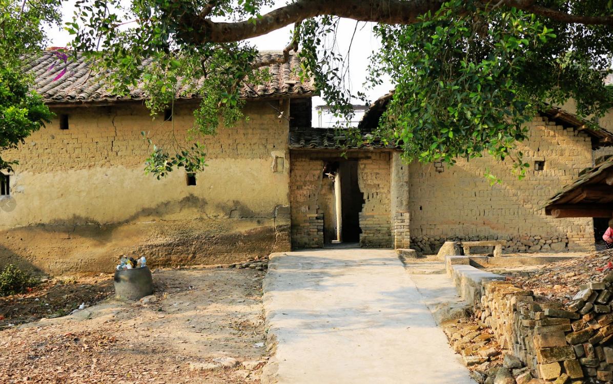 日本东京台风最新动态及小巷独特风味探索