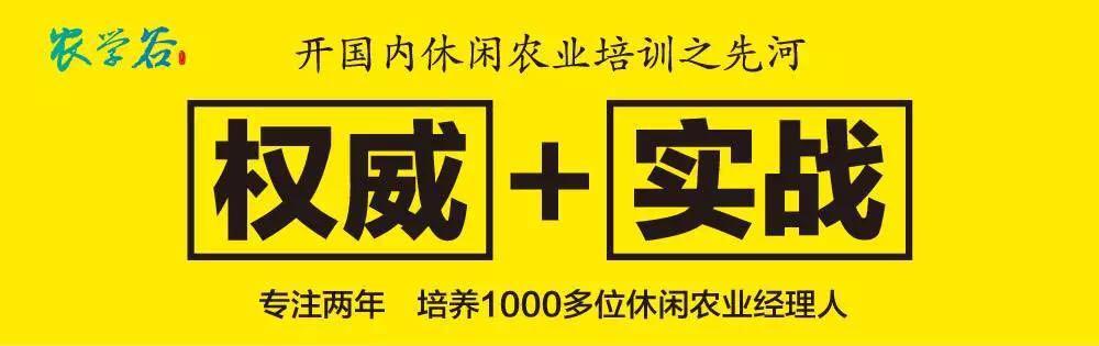 上市公司倒闭案例，昔日辉煌与落幕的反思及其启示