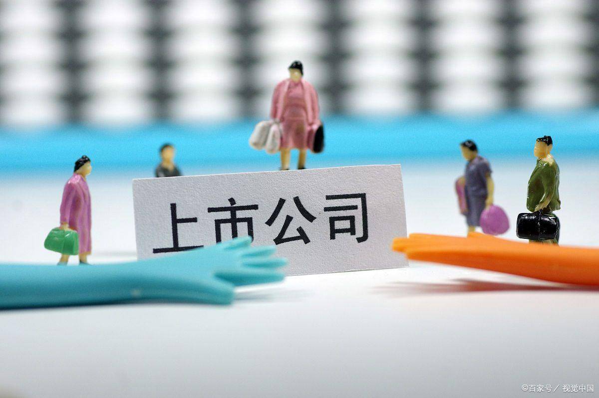 甲企业上市公司，变化中的自信成就辉煌之路