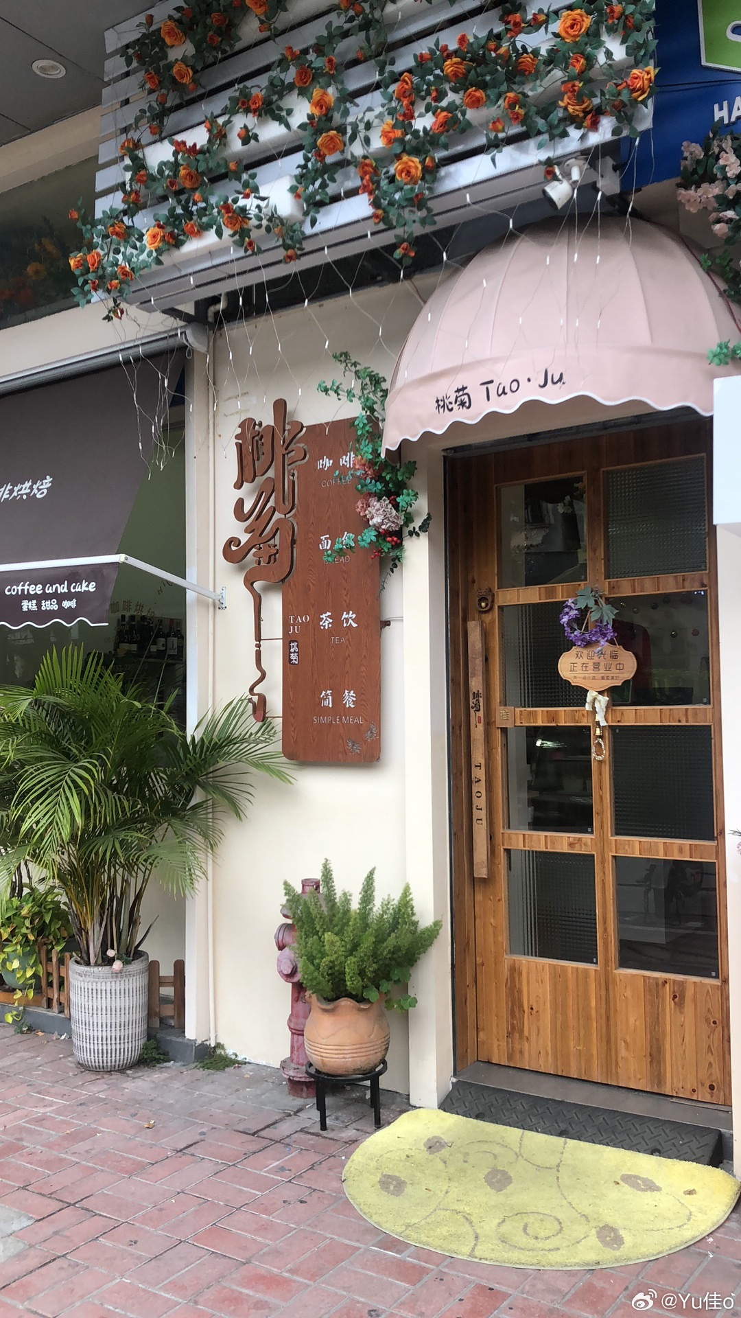 域名停靠资讯，巷弄深处的独特小店探索