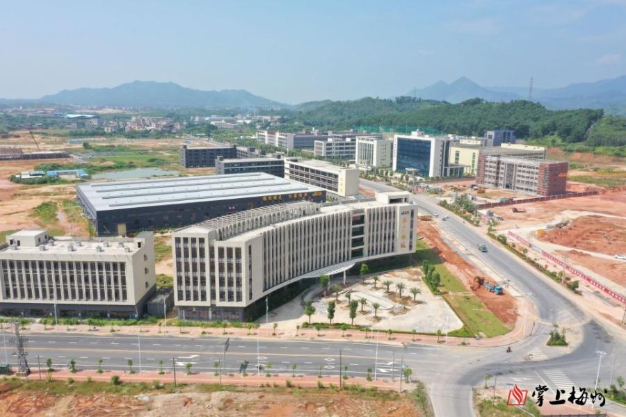 海大集团的上市之路，探寻商业传奇中的独特故事与上市时刻