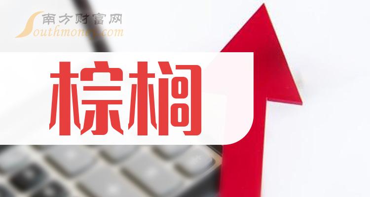 棕榈股份最新动态，回望过去，前瞻未来