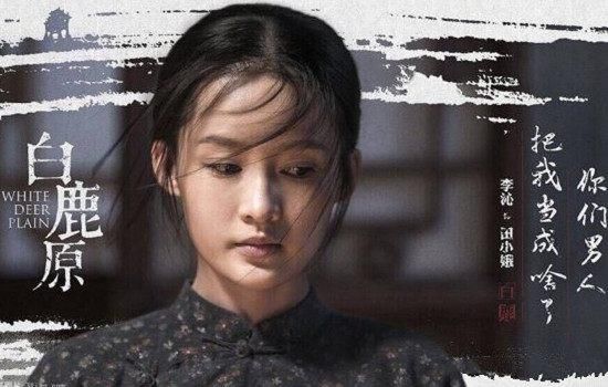 白鹿原田小娥演员，传奇人生与演艺之路的闪耀之旅
