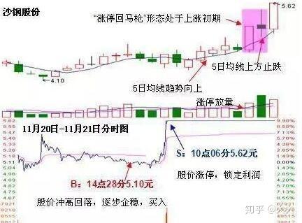 2025年今晚澳门特马,高效性设计规划_月光版57.996