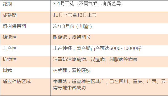 2025年新澳门天天开奖免费查询,全面性解释说明_掌中宝57.424