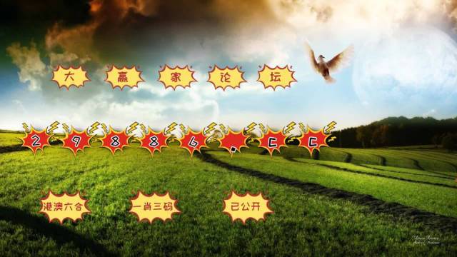4949开奖免费资料澳门,社会责任实施_分析版57.509
