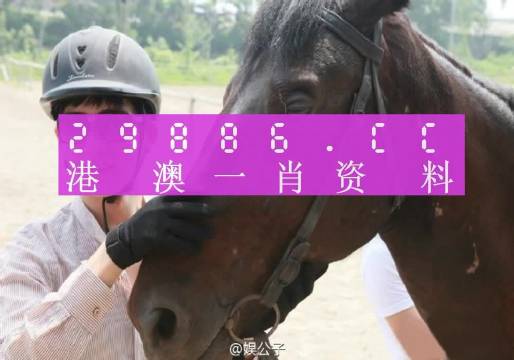 今晚上澳门必中一肖,具象化表达解说_投入版57.454
