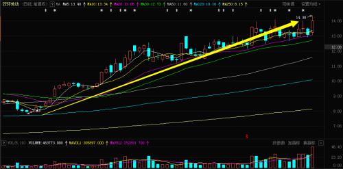双环传动股票行情,行业趋势与前景展望分析揭秘!