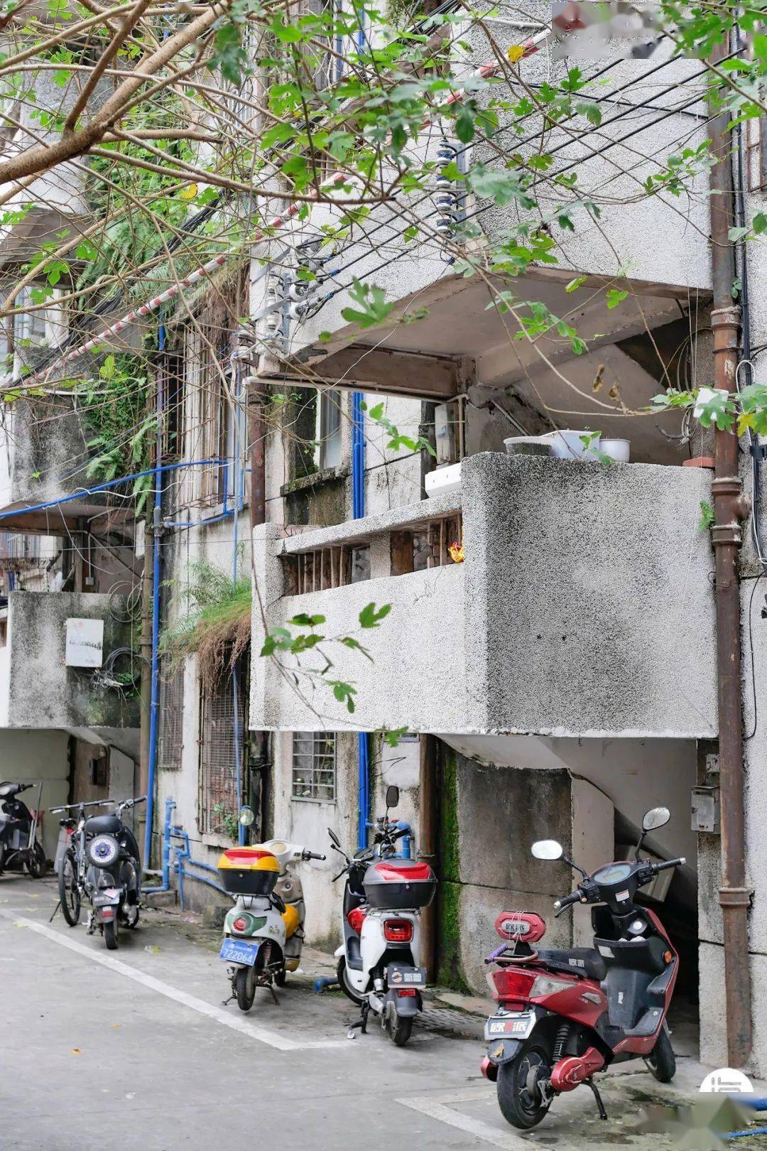 花月楼资讯,小巷深处的独特风味——味蕾与心灵的双重探索之旅