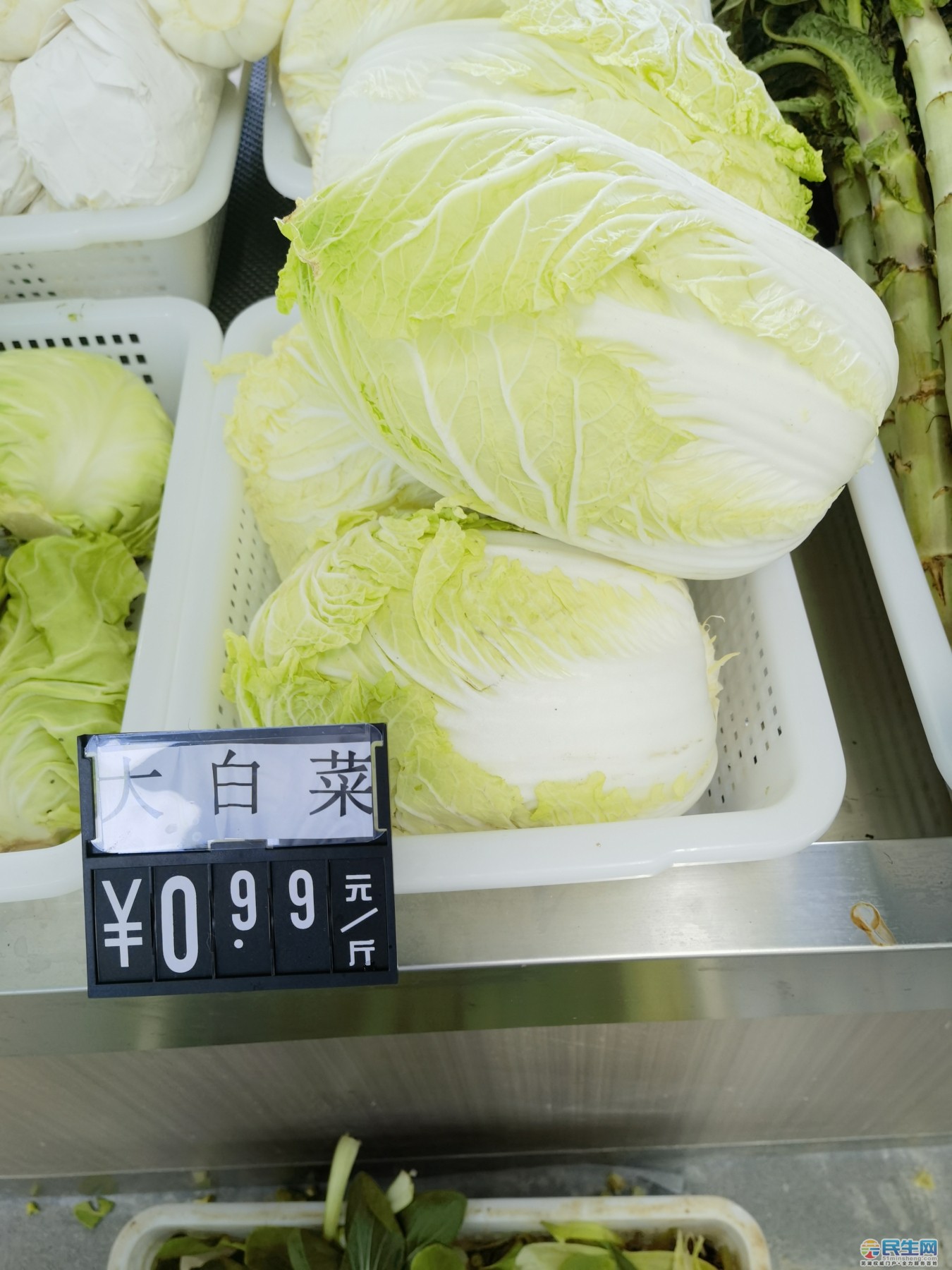 白菜最新市场行情动态更新🥬