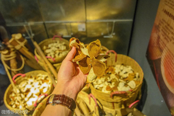 小巷深处的宝藏故事,探寻陈皮的价格奥秘