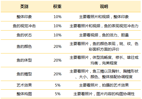 比赛积分制详解,步骤指南与操作手册