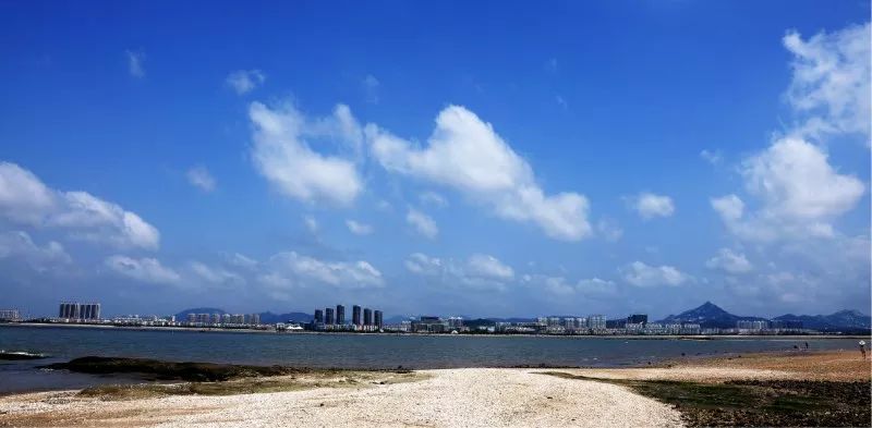 乳山银滩招聘信息多元视角下的观点碰撞深度探讨