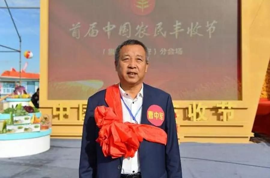 三线演员海伦，演艺之路的璀璨之星