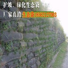 生态袋价格揭秘，小巷中的绿色宝藏探秘之旅