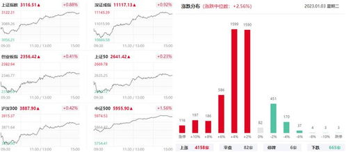 索菲亚股票股吧,股市学习之旅与自信成长之路