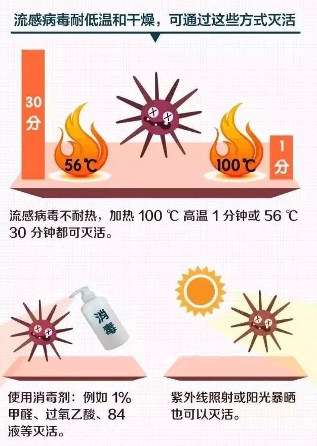最新流感疫情，理解、应对与预防措施的重要性