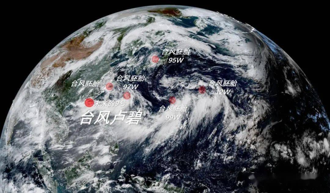福建受台风影响最新消息更新