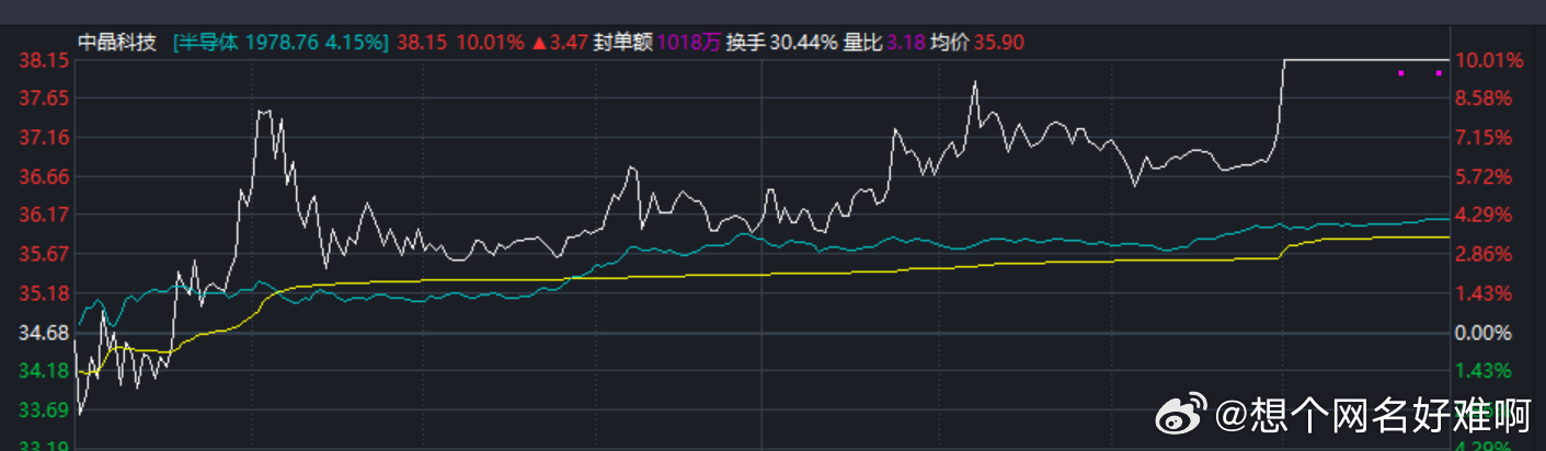驼股票，小巷深处的投资传奇