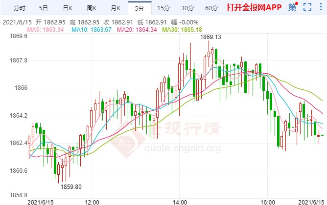 山东麻鸡今日市场价格,鸡的成长与励志人生之路