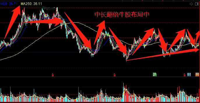 外高桥股票，高科技领航者，未来重塑的关键力量