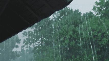 最新台风影响厦门及应对台风天气的步骤指南