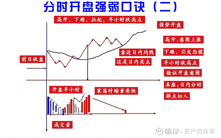 股票盘子大小详解,如何判断股票盘子大小,股市小白进阶指南📈