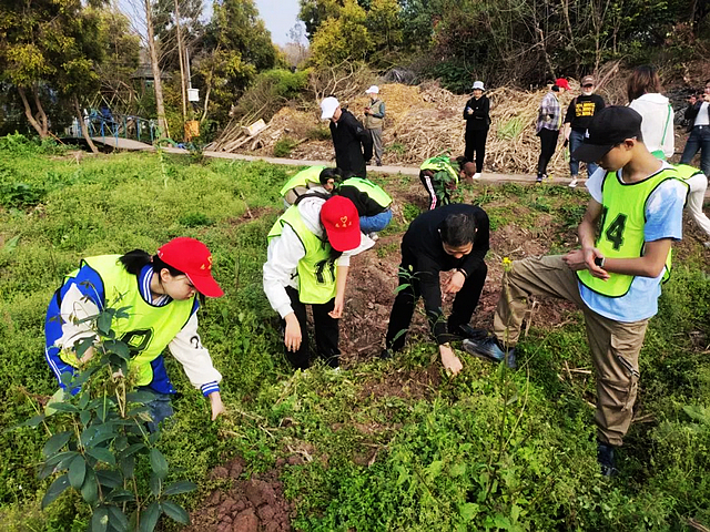 科技重塑绿色生活，一场生态与科技的完美结合——植树比赛纪实
