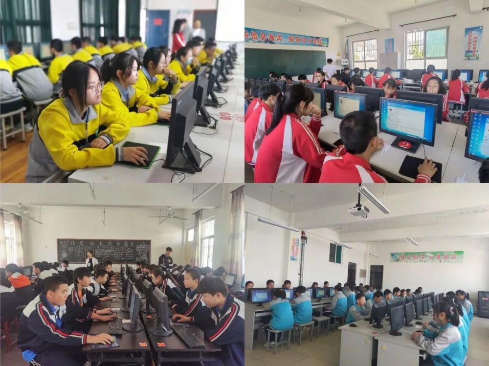 老梁最新指南,如何完成任务的详细步骤与学习新技能的实用指南