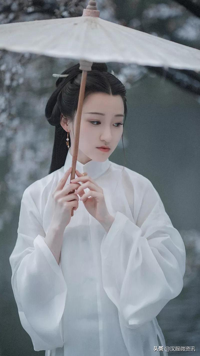 微小生命的力量,小草最新观点与生态系统阐述