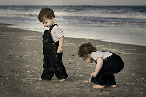 张一山最新之旅,自然美景探索与内心平和的追寻