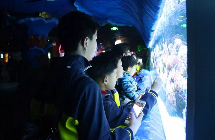 2023最新电影,开启一场温馨之旅