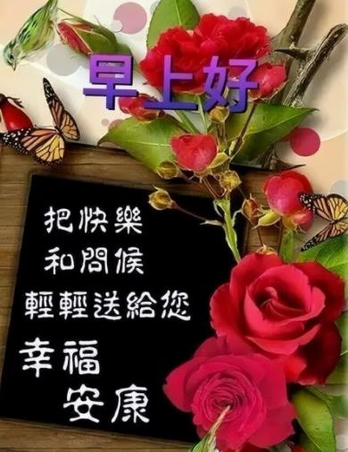 大富翁最新动态,游戏更新与未来展望