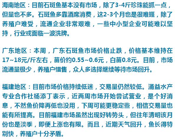 黑鱼最新价格探讨,市场分析与观点阐述