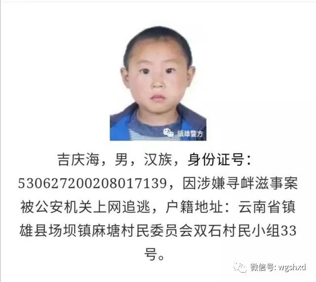 最新在逃人员,某某观点的深入阐述