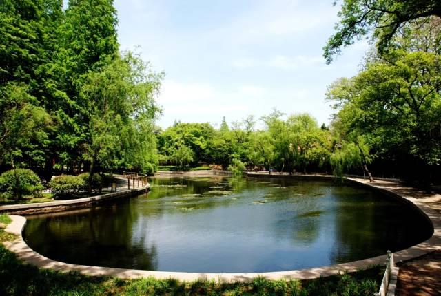 青岛房价最新动态与巷弄特色小店探秘