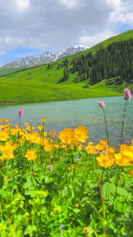 最新工地招工,启程探索自然美景的工地之旅