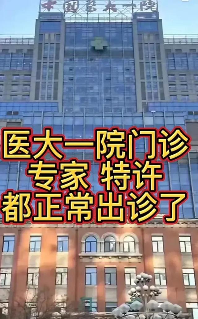 沈阳最新疫情实时更新报告，最新动态与消息
