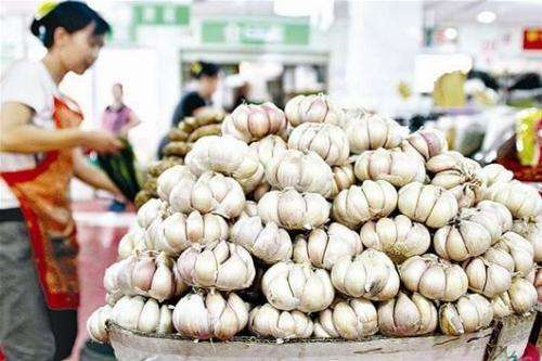 蒜价最新动态,小蒜头成长逆袭之路的探寻