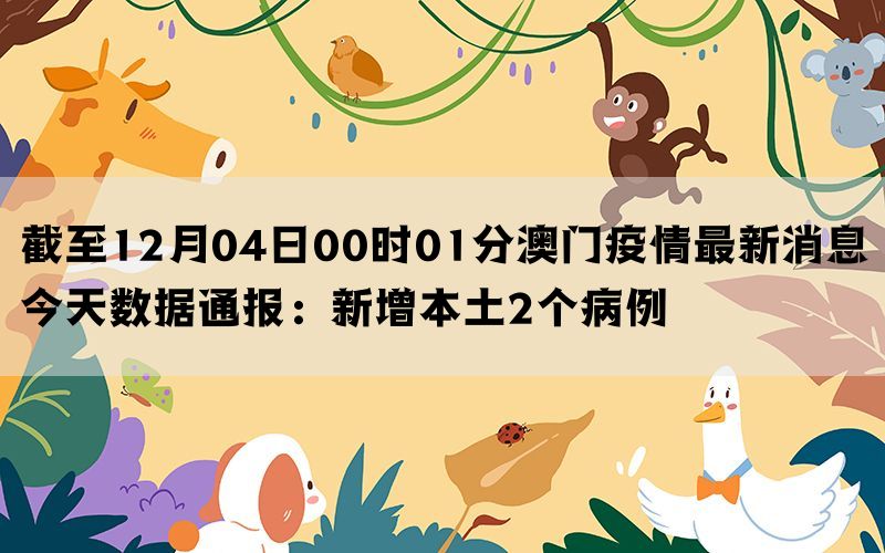 澳门疫情最新更新,最新动态与消息汇总